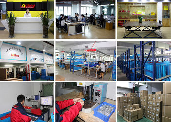 ประเทศจีน Lockey Safety Products Co.,Ltd โรงงาน